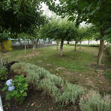 Kod Kapetana Apartment